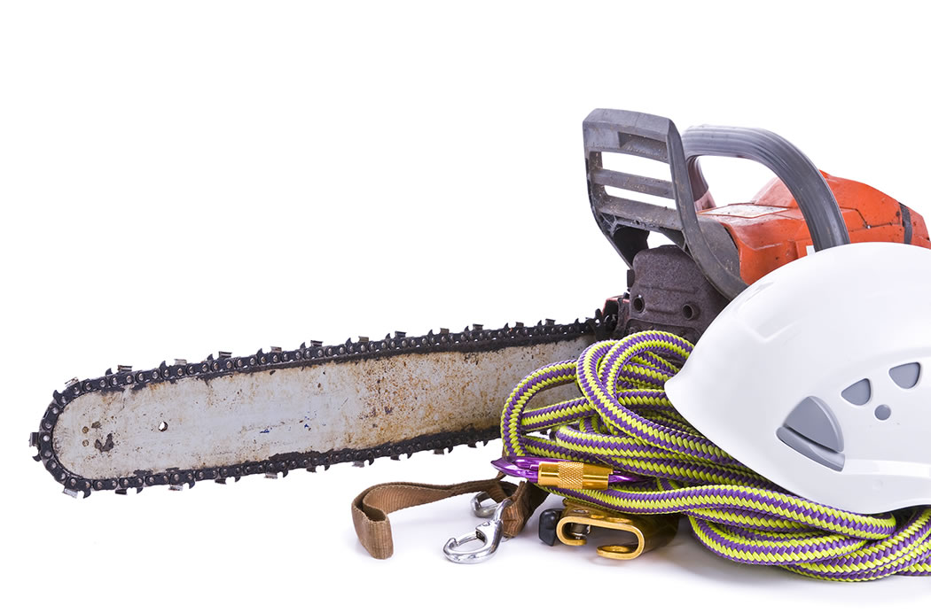 Commercial tree service